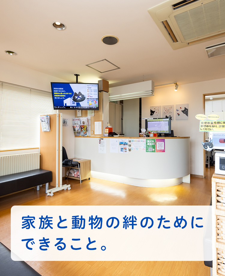 もっともっと、ずっと一緒にいるために。皆さまと動物たちの愛おしい大切な時間が1分1秒でも長く、充実したものになるようにサポートいたします。