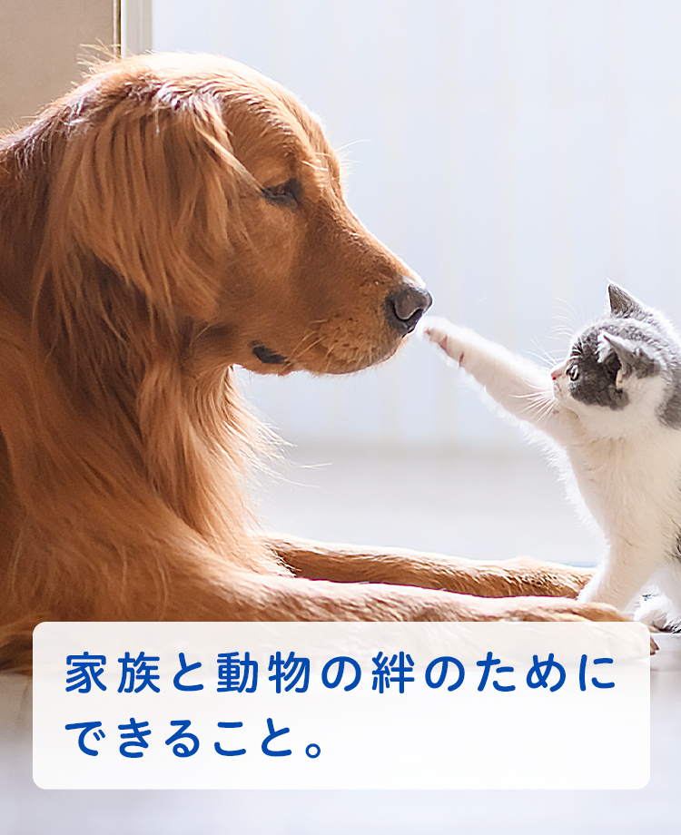 もっともっと、ずっと一緒にいるために。皆さまと動物たちの愛おしい大切な時間が1分1秒でも長く、充実したものになるようにサポートいたします。